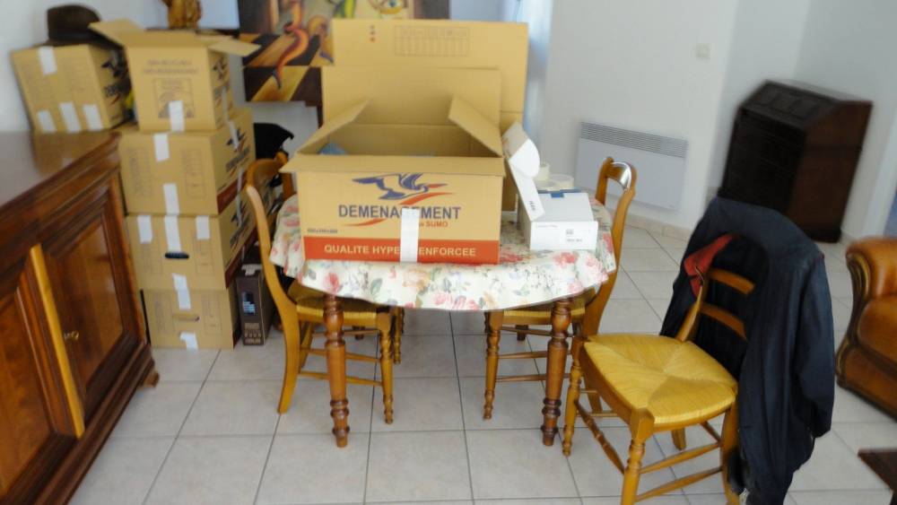 demenagements (23)